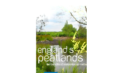 Peatlands & Carbon Storage