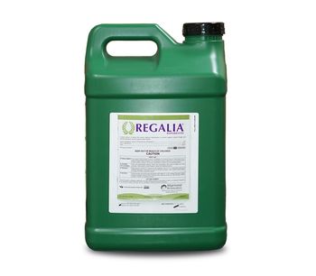 Regalia - Biofungicide