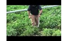 AMS, Inc. Regular Soil Step Probe - Video