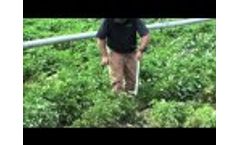 AMS, Inc. Soil Ejector Spoon In-Use - Video