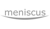 Meniscus Systems Ltd