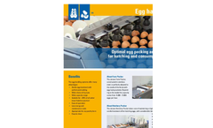 Egg Packer for Hatching Eggs Brochure