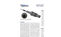 Model P/R60C-6 - Variable Insertion Differential pH/ORP Sensors Brochure