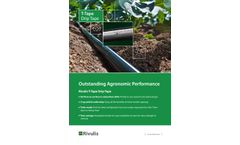 Rivulis - Model T - Drip Tape  Brochure