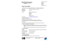 Native - Model VLP - Chikungunya Virus Brochure