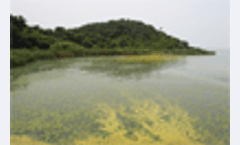 China launches rural pollution study