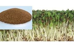 Sky Greens - Alfalfa Fodder Feed
