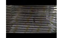 Big Led Grow Lights - Video