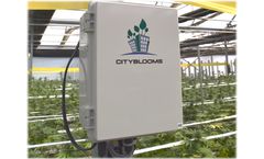 Cityblooms - Monitors