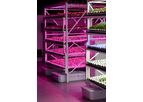 Cityblooms - Modular Farming Systems