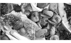High-quality shredding solutions for biomass disposal & recycling shredders sector