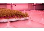 Aeroponic Rolling Benches