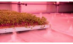 Aeroponic Rolling Benches