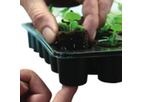 V-Farm Natural Rooting Sponges - Box Of 1400