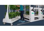 Cannabis Drying System