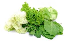 Fresh Cut Vegetables Processing Line