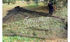 OLIVENET - Permanent Bedding Nets