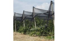 Retificio Padano - Anti-hail Net for Orchards and Vineyards