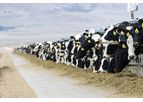 Feeding Management Services