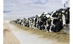 Feeding Management Services