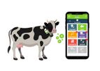 Cow Collar for Heat and Disease Detection