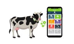 Cow Collar for Heat and Disease Detection