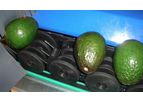 Insight Sorters - Sorting Machines for Avocado