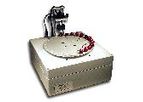 BioWorks FirmTech - Fruit Firmness Tester