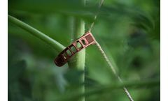 PycnoPlast - Poly Butylene Succinate (PBS)