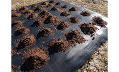 PycnoPlast - Additives for Fine-Tuning Polymer Biodegradability