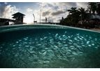 FRP Aquaculture Tanks