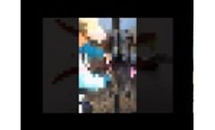 FeverTags Installation Video mov