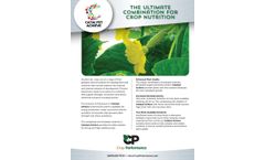 Catalyst Achieve of Crop Fertilizer - Flyer