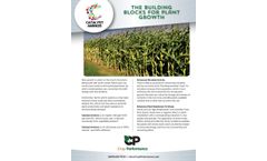 Catalyst Aminos of Crop Fertilizer - Brochure