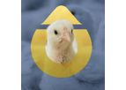 SenseHub Poultry - Real-time Data Monitoring Solution