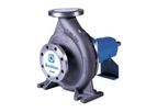 Boulton - Model ESN/ESH Series - Single Stage Norm Centrifugal Pumps