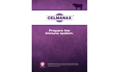 Arm & Hammer - Beef Segments - Brochure