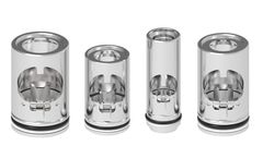 Dual Flapper Check Valves