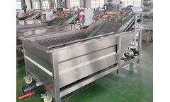 Tianzhong Machinery - Fruit and Vegetable Washing Machine