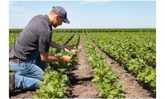 Automated Sump Level Management System for Agriculture