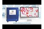 Artificial Intelligence & Machine Learning-based Image Analysis Solutions- Digital Pathology - Video