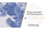Valves assembly and field services | De Dietrich Process Systems - Video