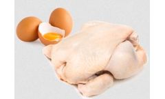 Colonut - Natural Carotenoid Extract for Egg Yolk and Broiler Skin Pigmentation