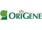 OriGene - Lentivirus shRNA, Plasmids and Ientiviral Particles