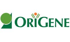 OriGene - Lentivirus shRNA, Plasmids and Ientiviral Particles