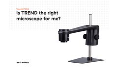 Trend - Brochure