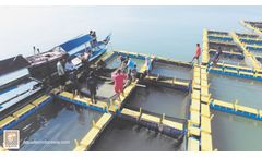 Aquatec - Knock Down Cage System