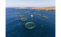 GESIKAT - Plastic Fish Cages