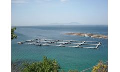 GESIKAT - Metal Rectangular Fish Cages