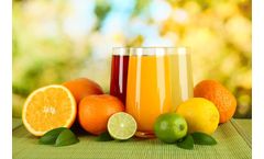 6 Essential Pieces of Fruit Juice Processing Equipment